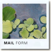 mail_photo.jpg
